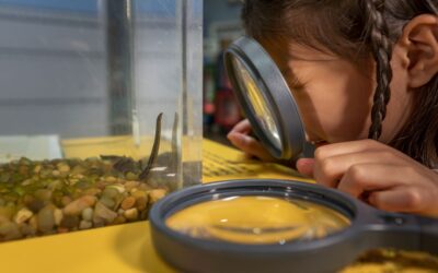 Sciencenter’s Traveling Exhibitions Program