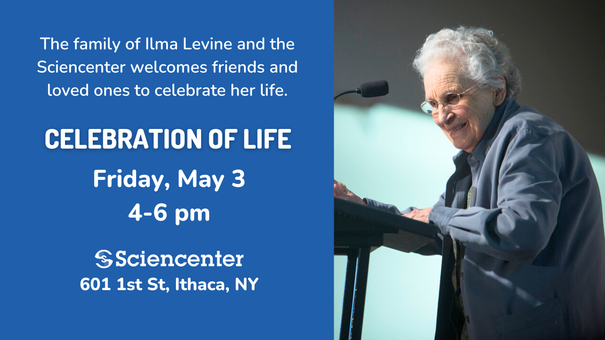 Ilma Levine Celebration of Life