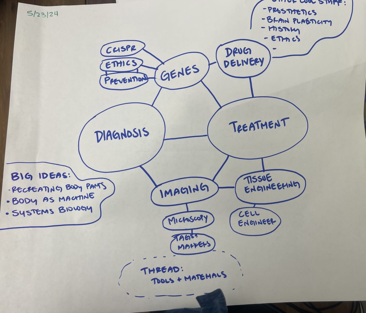 Bridges to Bioengineering