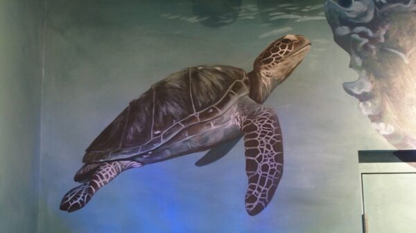 Ocean Gallery Turtle Paulina Melechkina