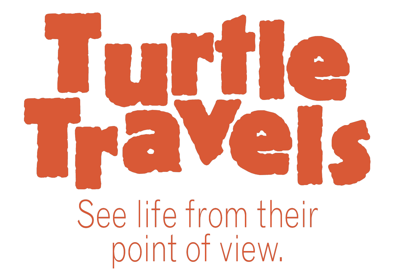 Turtle Travels logo